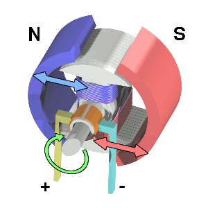 worm gear motor rotor