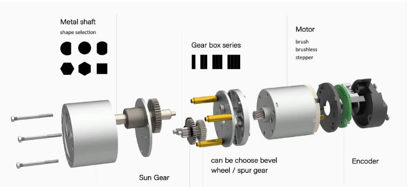 DC spur gear motor exploded view